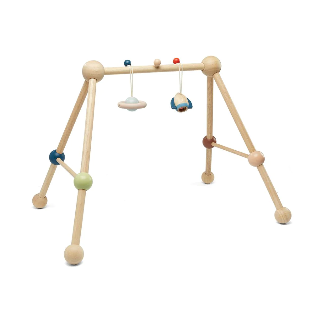 PlanToys-Play Gym