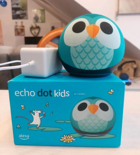 Alexa echo dot kids