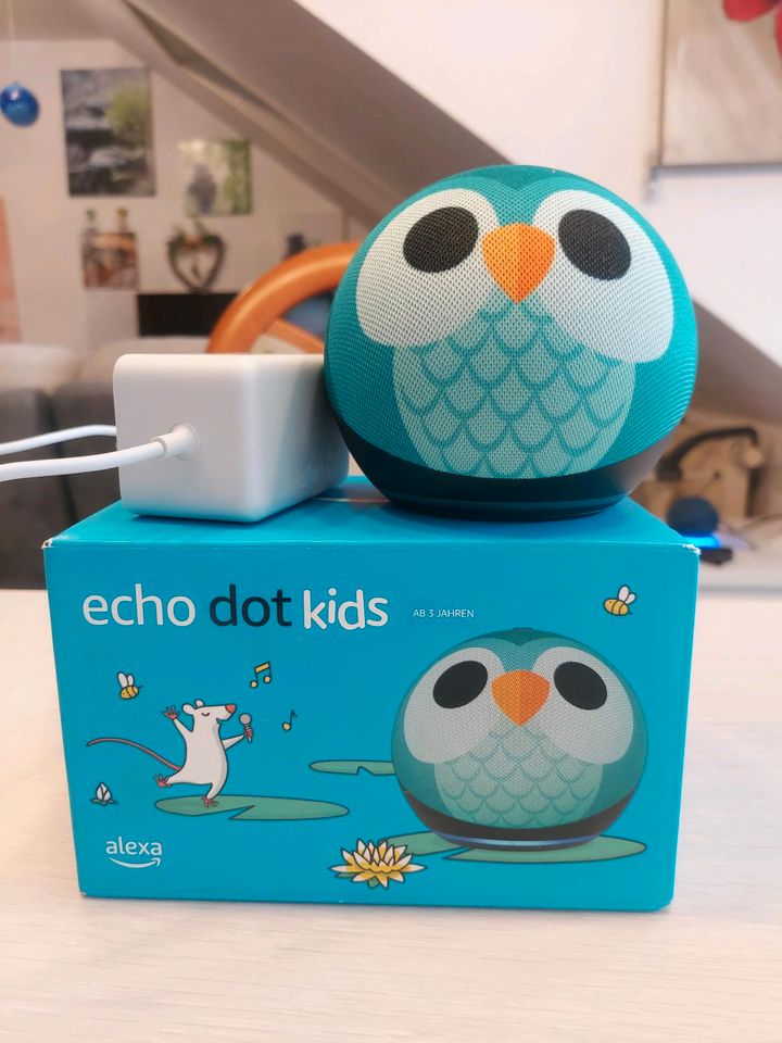 Alexa echo dot kids